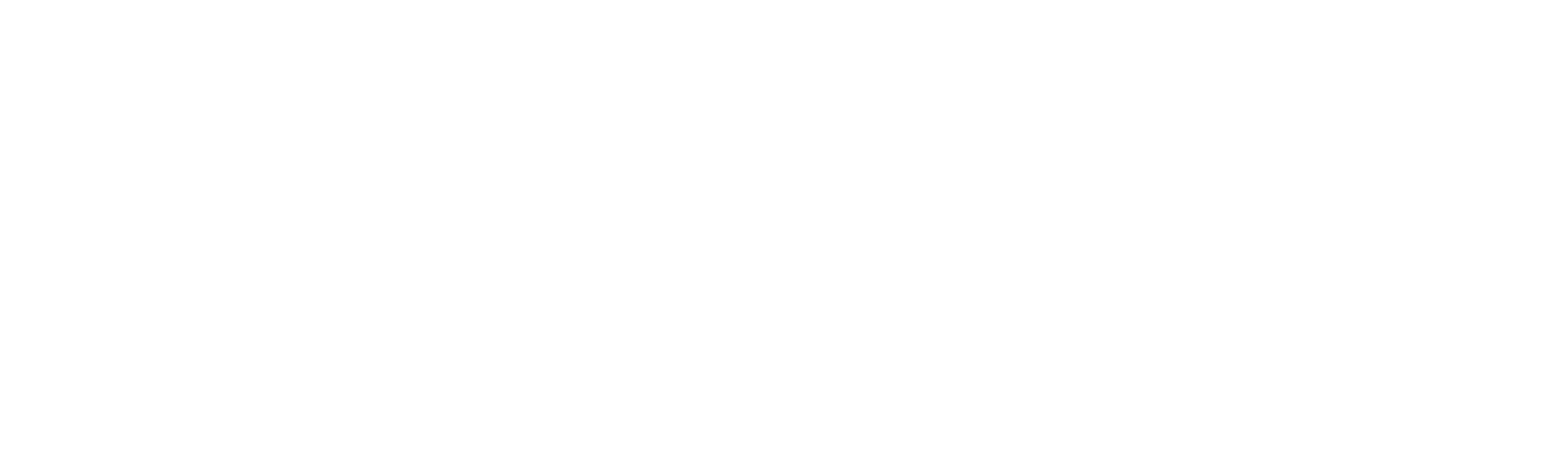 Noreensoft%20IT%20Solutions